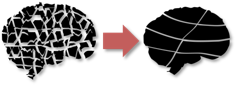 Totally fragmented black human brain shape on the left; Lightly segmented black human brain shape on the right; separated by a red left-to-right arrow