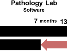 Prodsol Software Development Impact